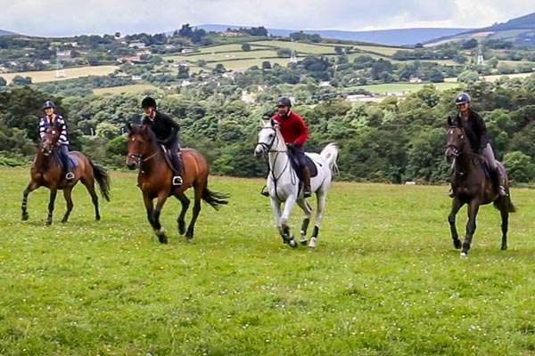 Horse Riding - Croneybyrne Courtyard